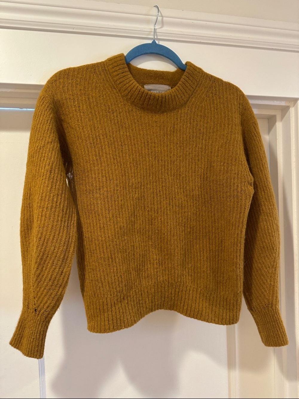 Everlane Rust-Brown Fuzzy Crewneck Sweater